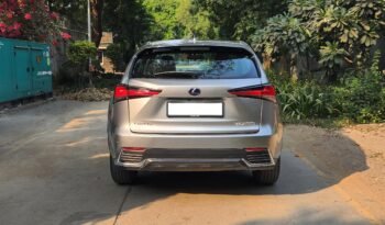 Lexus NX300 Hybrid Luxury Line full