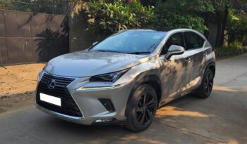 Lexus NX300 Hybrid Luxury Line full